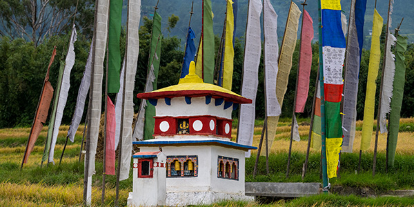 Custom Tour Packages